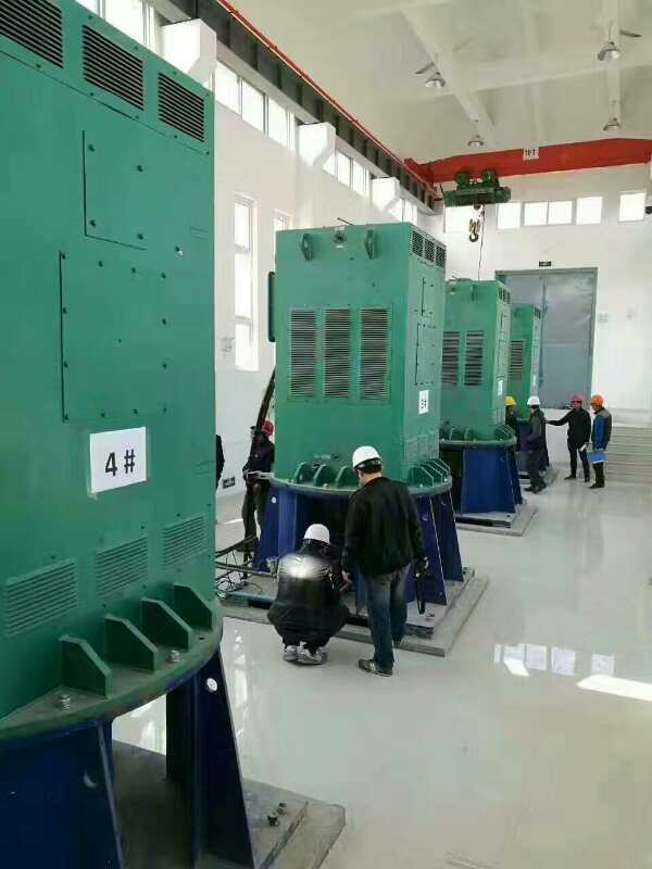 波莲镇某污水处理厂使用我厂的立式高压电机安装现场
